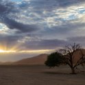 NAM HAR Dune45 2016NOV21 036 : 2016 - African Adventures, Hardap, Namibia, Southern, Africa, Dune 45, 2016, November